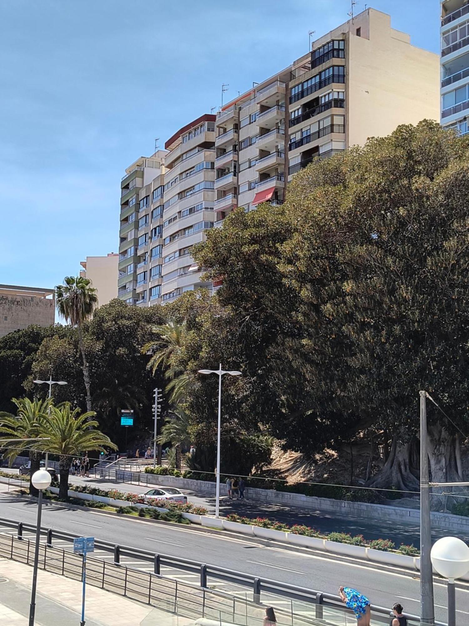 Apartamento Playa 알리칸테 외부 사진